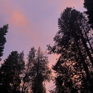 Meet your Posher, Karly